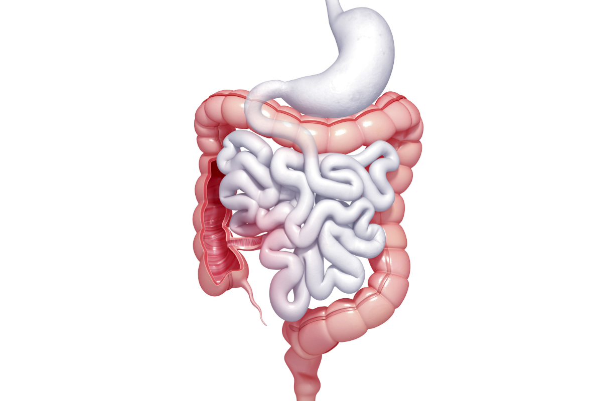 How to Clean the Intestinal: Methods and Tips