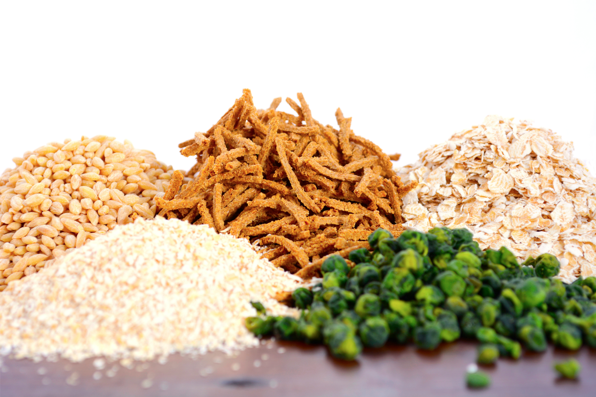 What is Prebiotic for and how important is it for the intestine?