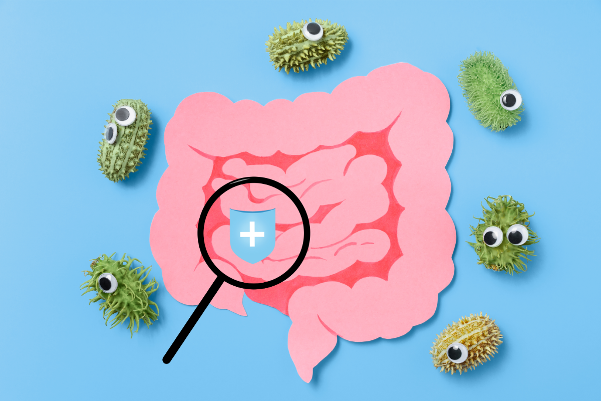 What is intestinal health used for disease prevention?
