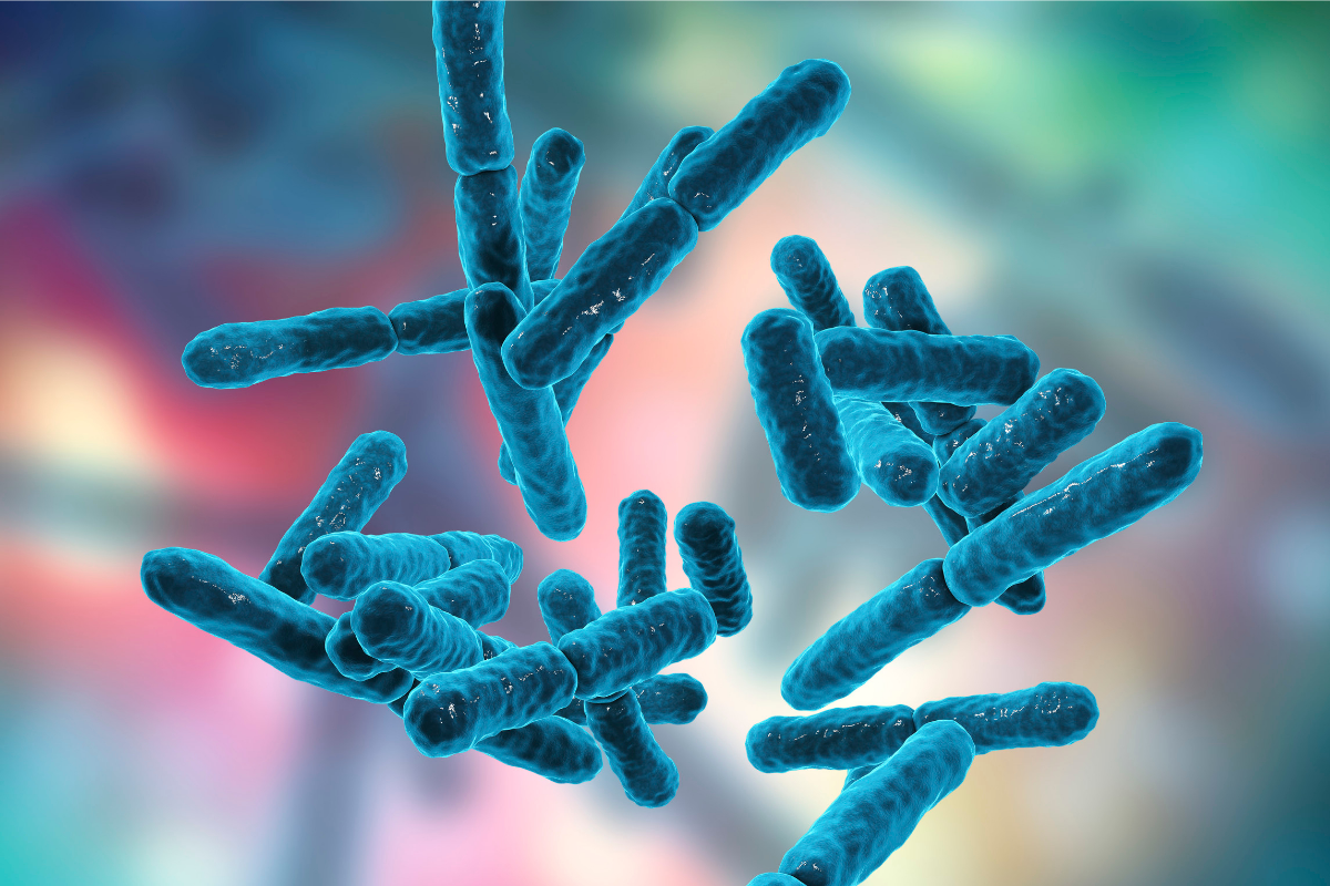 Unlocking the Power of Probiotics: Essential Benefits for Your Health