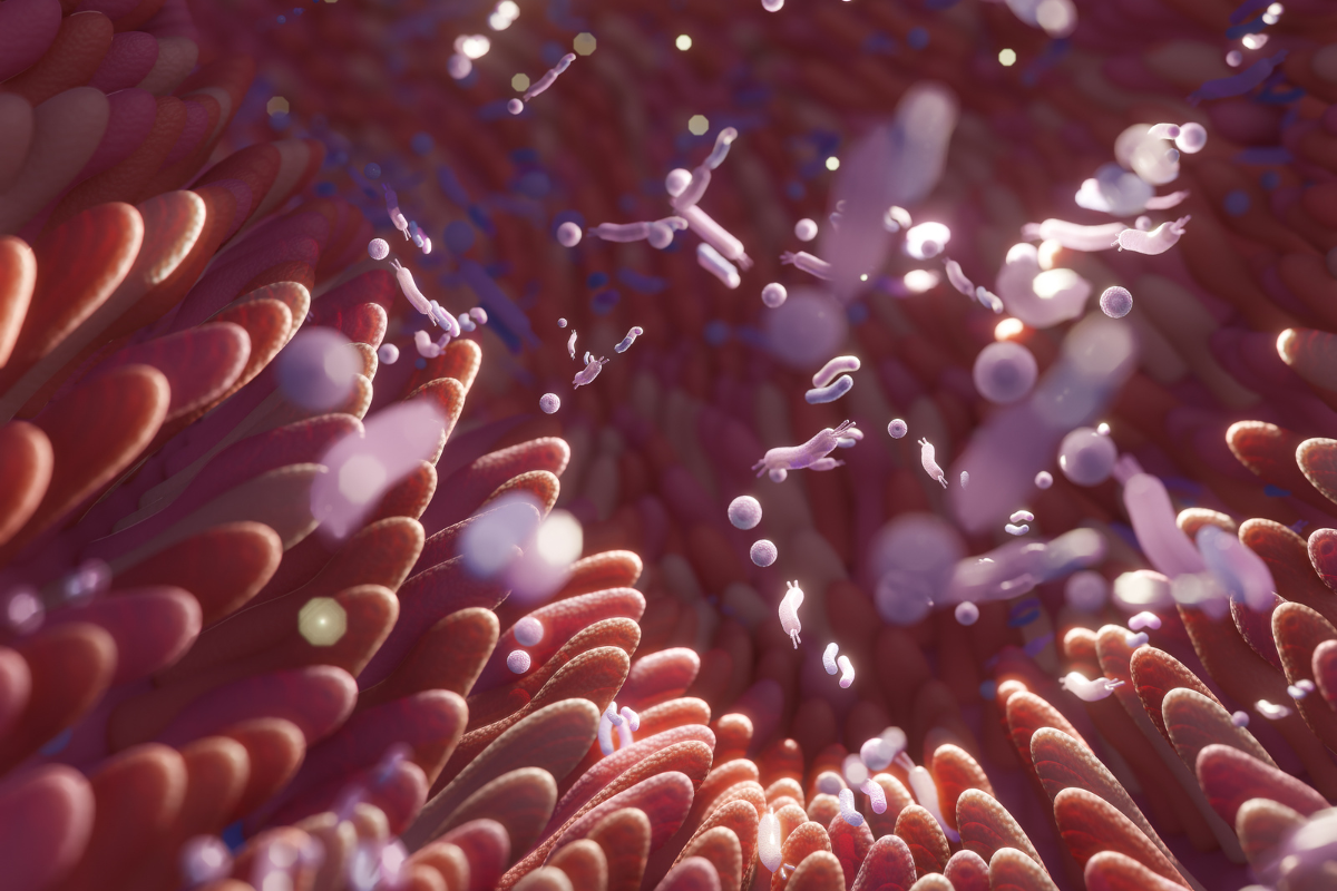 How to Create a Balanced Diet for Optimal Gut Microbiome