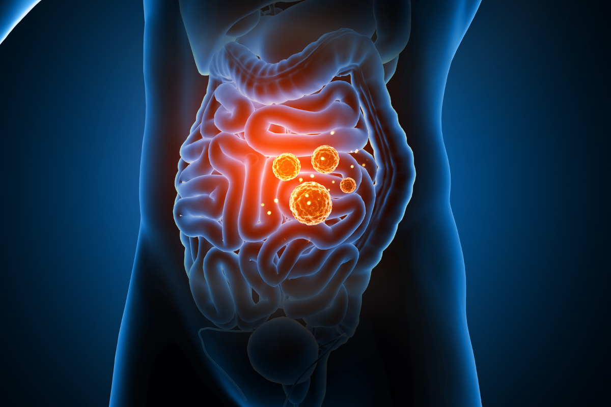 Top 10 Gut Health Myths Debunked by Science