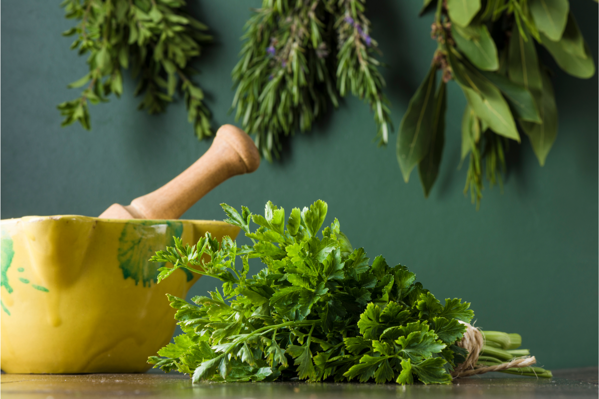 Top 7 Herbs to Boost Gut Health Naturally